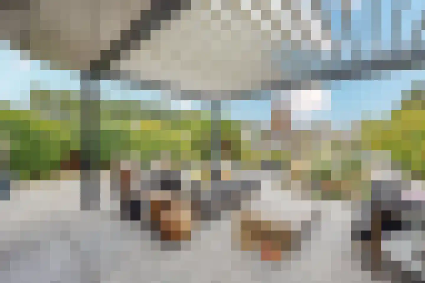 Loefzijde 13 Almere thumbnail 35