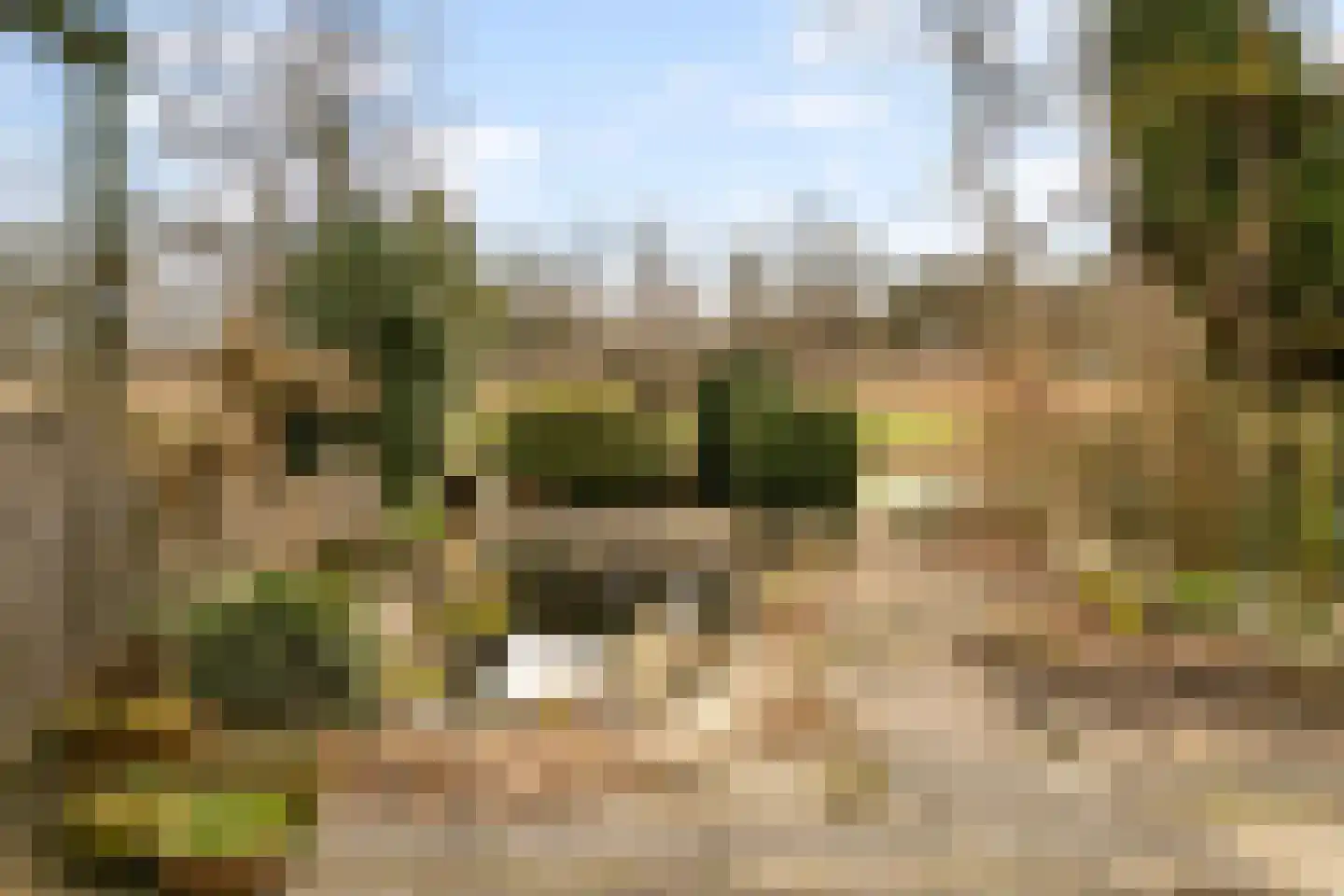 Loefzijde 13 Amsterdam thumbnail 27