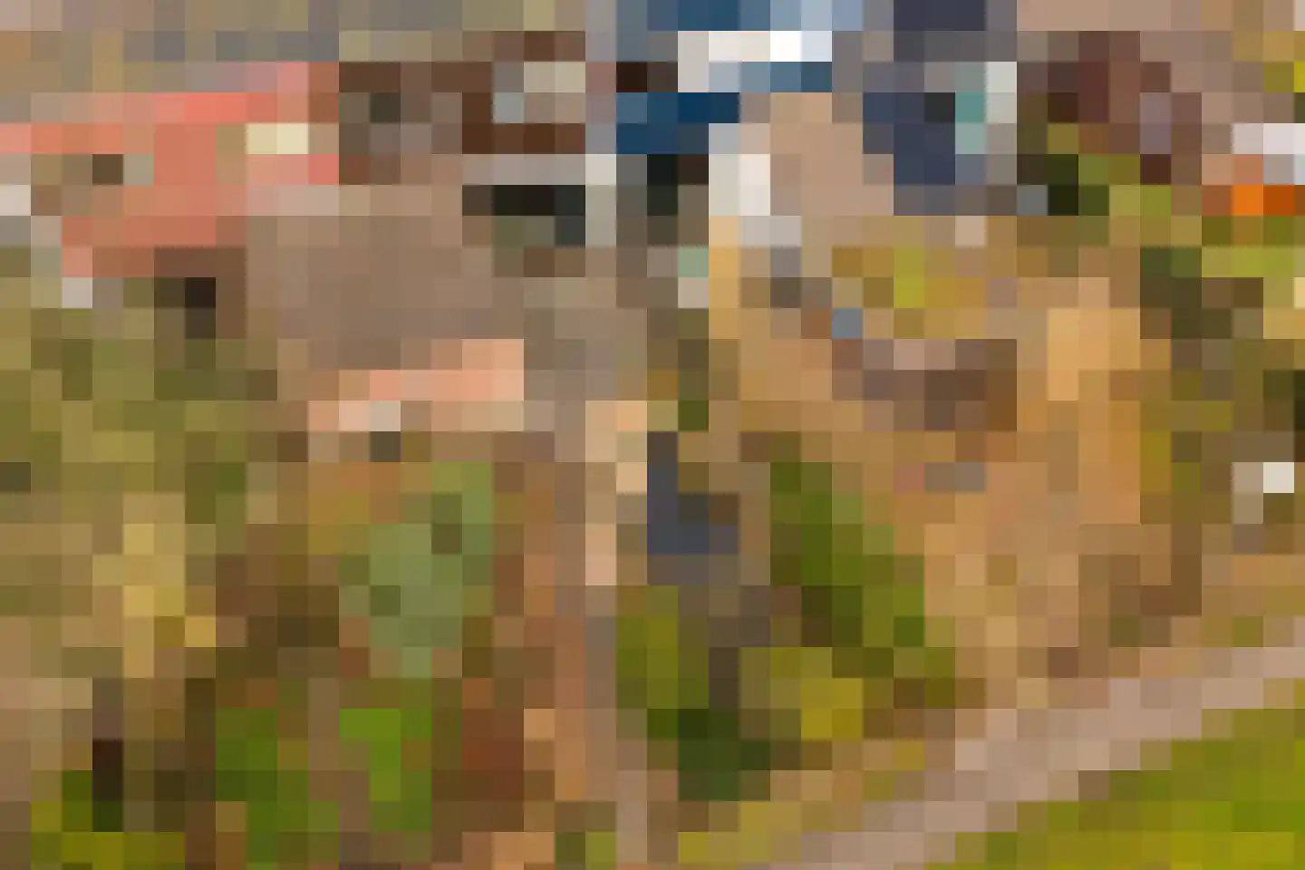Loefzijde 13 Amsterdam thumbnail 31
