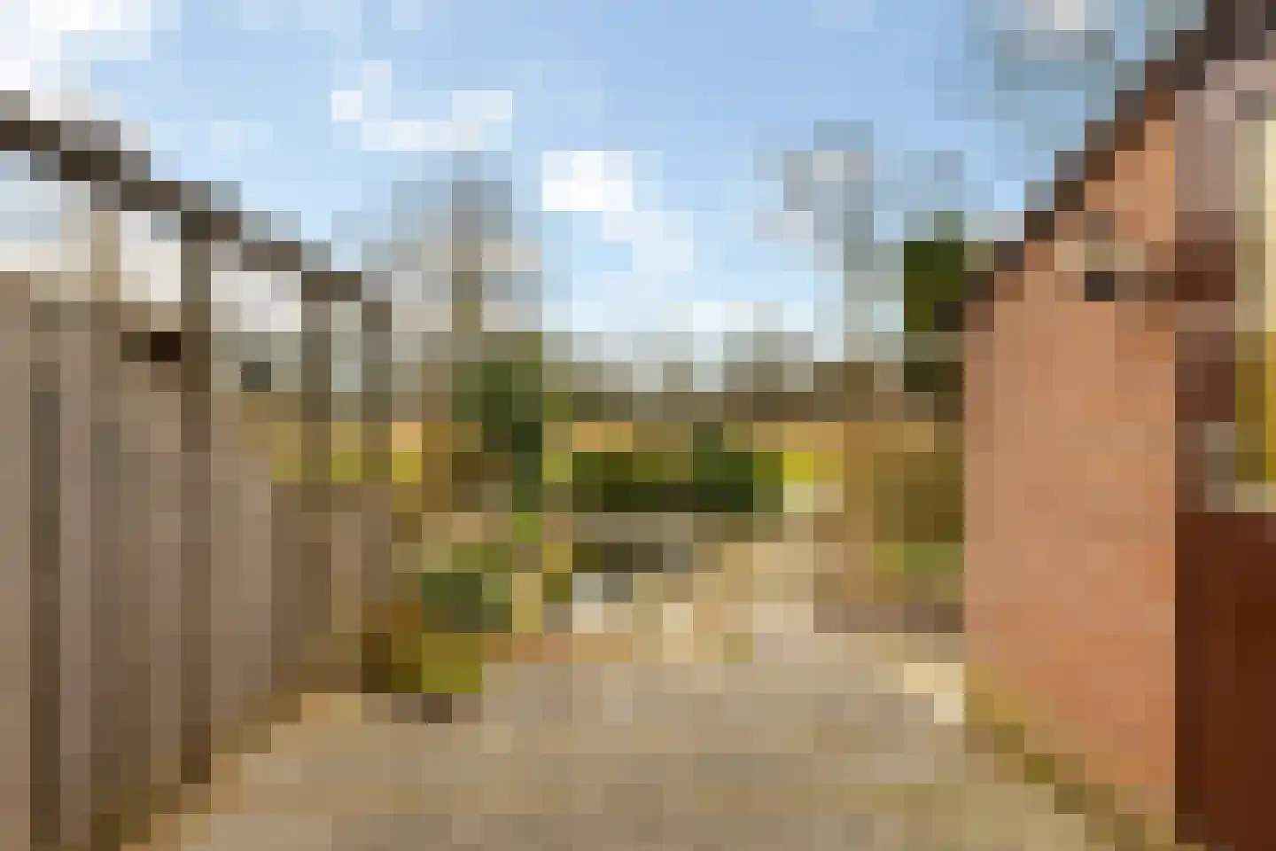 Loefzijde 13 Amsterdam thumbnail 4