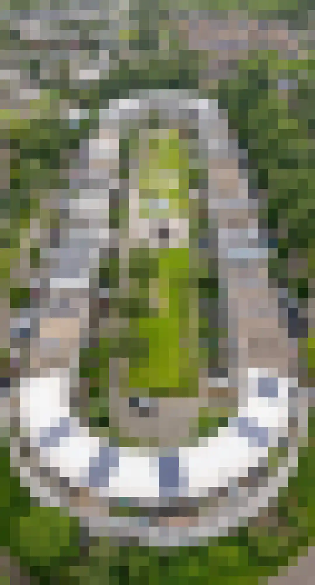 Loefzijde 20 Amersfoort thumbnail 34
