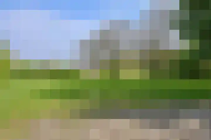 Loefzijde 28 Almere thumbnail 49