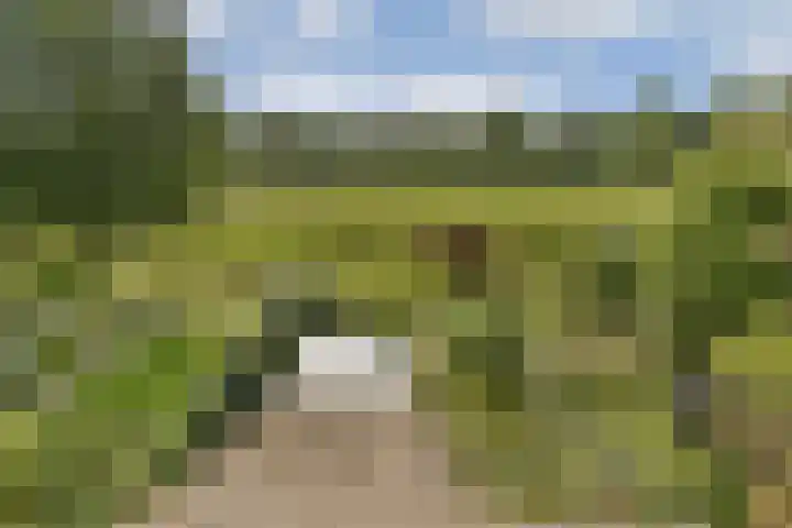 Loefzijde 7 Amsterdam thumbnail 19