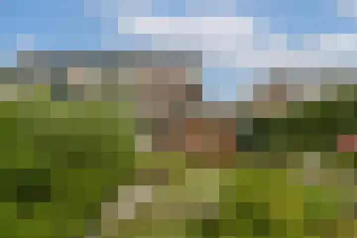 Loefzijde 7 Amsterdam thumbnail 20