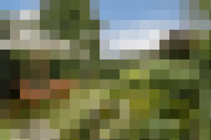 Loefzijde 7 Amsterdam thumbnail 21