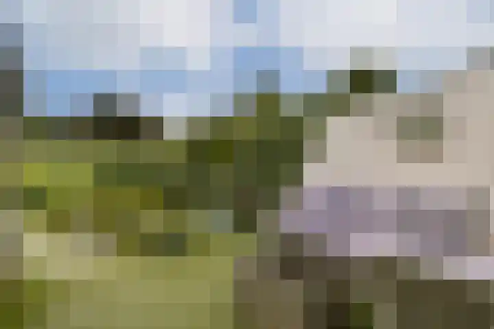 Loefzijde 7 Amsterdam thumbnail 22