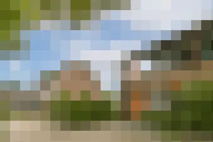 Loefzijde 7 Amsterdam thumbnail 23