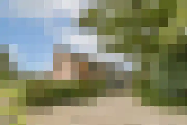 Loefzijde 7 Amsterdam thumbnail 24