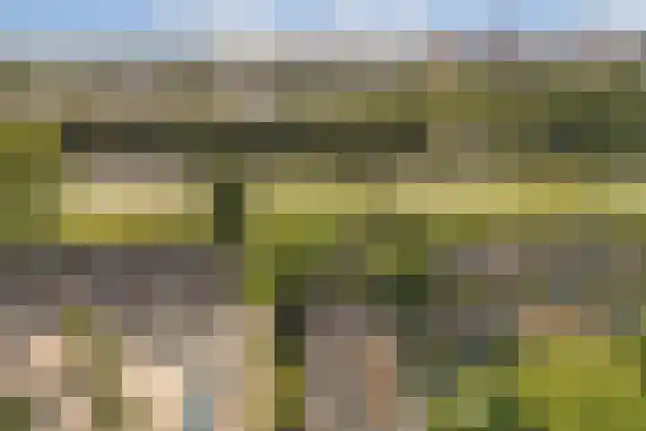 Loefzijde 7 Amsterdam thumbnail 25