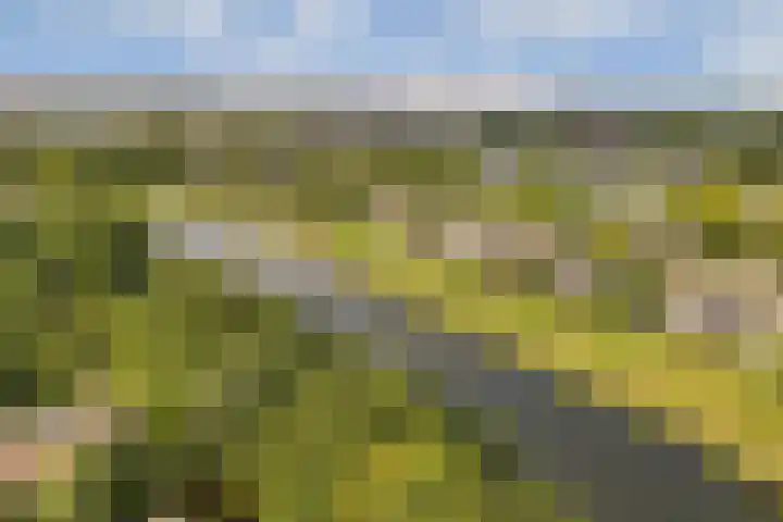 Loefzijde 7 Amsterdam thumbnail 26