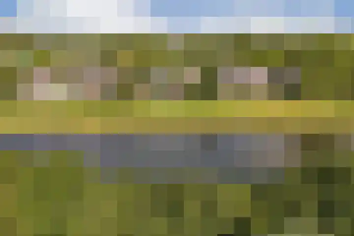 Loefzijde 7 Amsterdam thumbnail 27