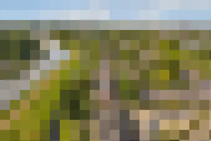 Loefzijde 7 Amsterdam thumbnail 28