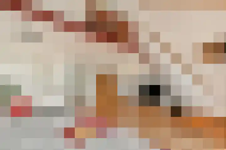 Loefzijde 7 Amsterdam thumbnail 9
