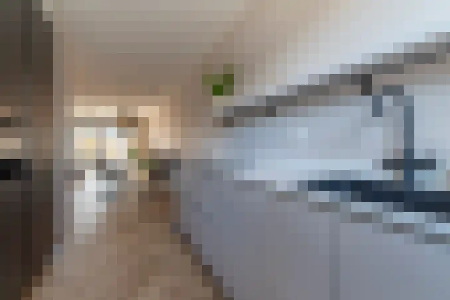 Loek Casperslaan 21 Veenendaal thumbnail 11