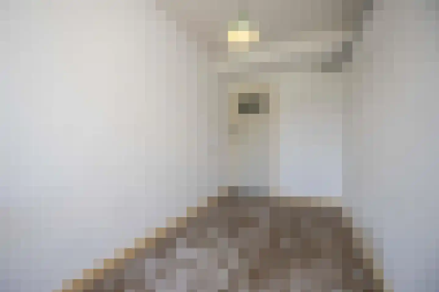 Loek Lansdorpstraat 12 Tilburg thumbnail 13