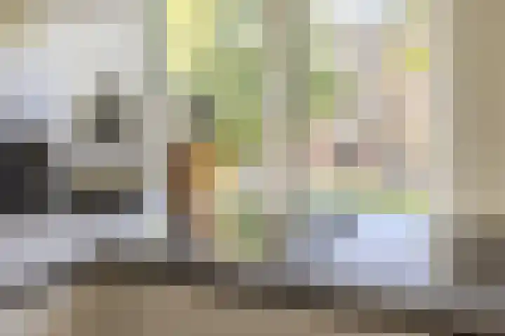 Loek Lansdorpstraat 20 Tilburg thumbnail 18