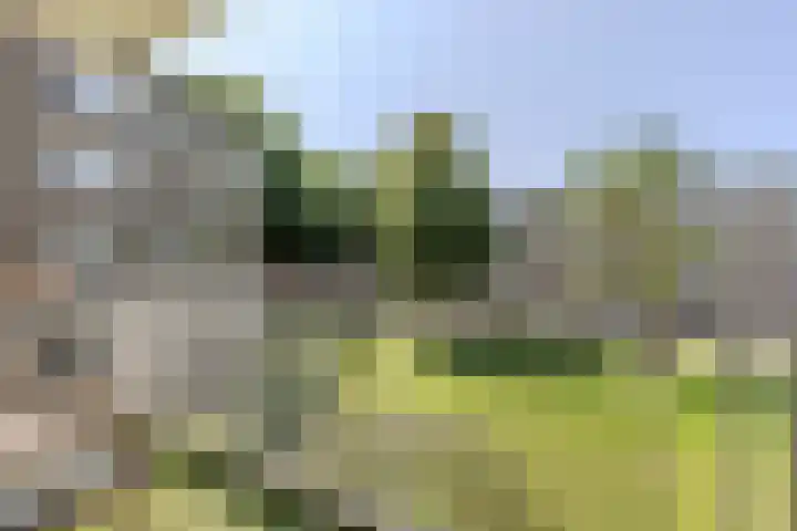 Loek Lansdorpstraat 20 Tilburg thumbnail 7