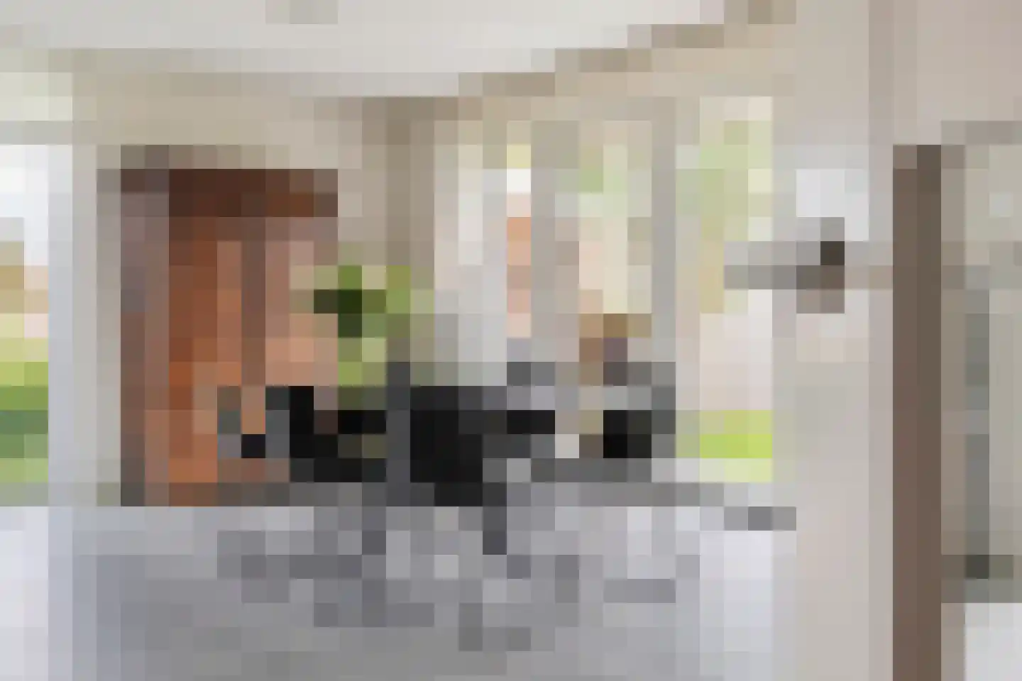 Loek van Ierselstraat 49 Culemborg thumbnail 13