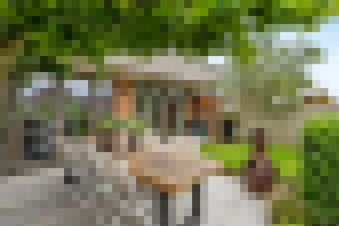 Loek van Ierselstraat 49 Culemborg thumbnail 31