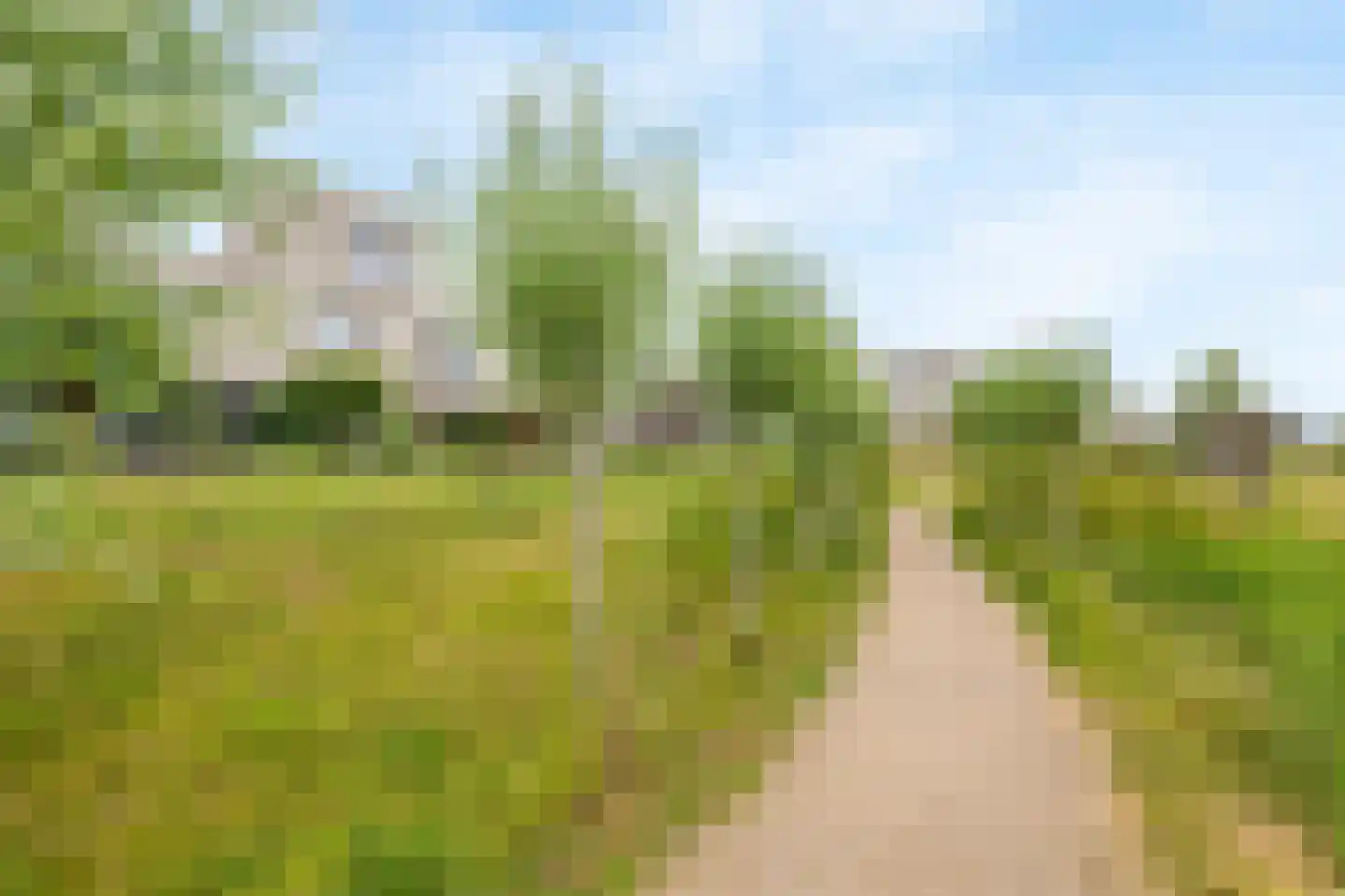 Loek van Ierselstraat 49 Culemborg thumbnail 34