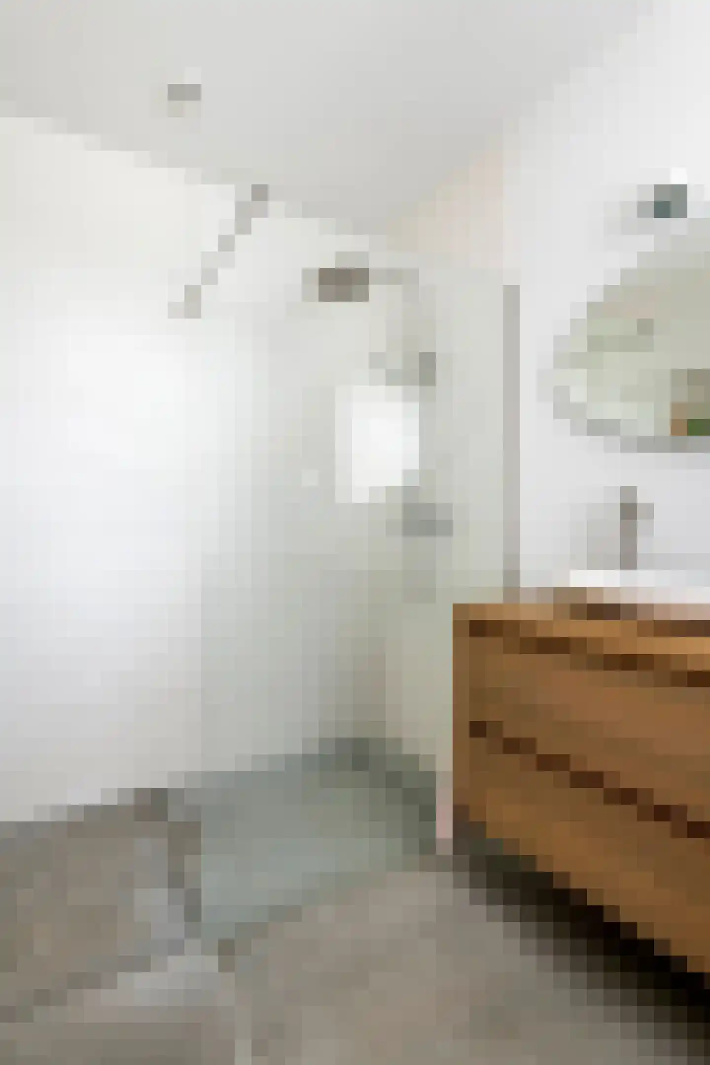 Loek van Ierselstraat 49 Culemborg thumbnail 43