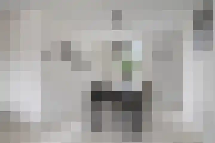 Loek Verstrijdenstraat 59 Best thumbnail 13