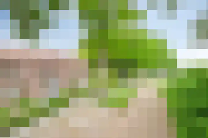 Loek Verstrijdenstraat 59 Best thumbnail 23