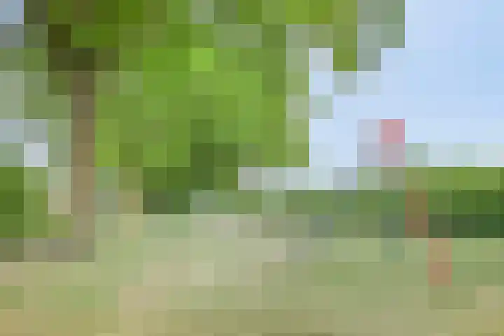 Loek Verstrijdenstraat 59 Best thumbnail 33