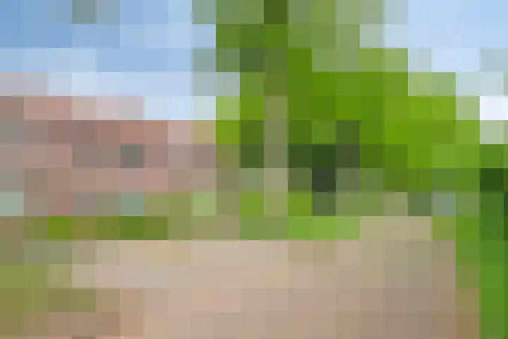 Loek Verstrijdenstraat 59 Best thumbnail 6