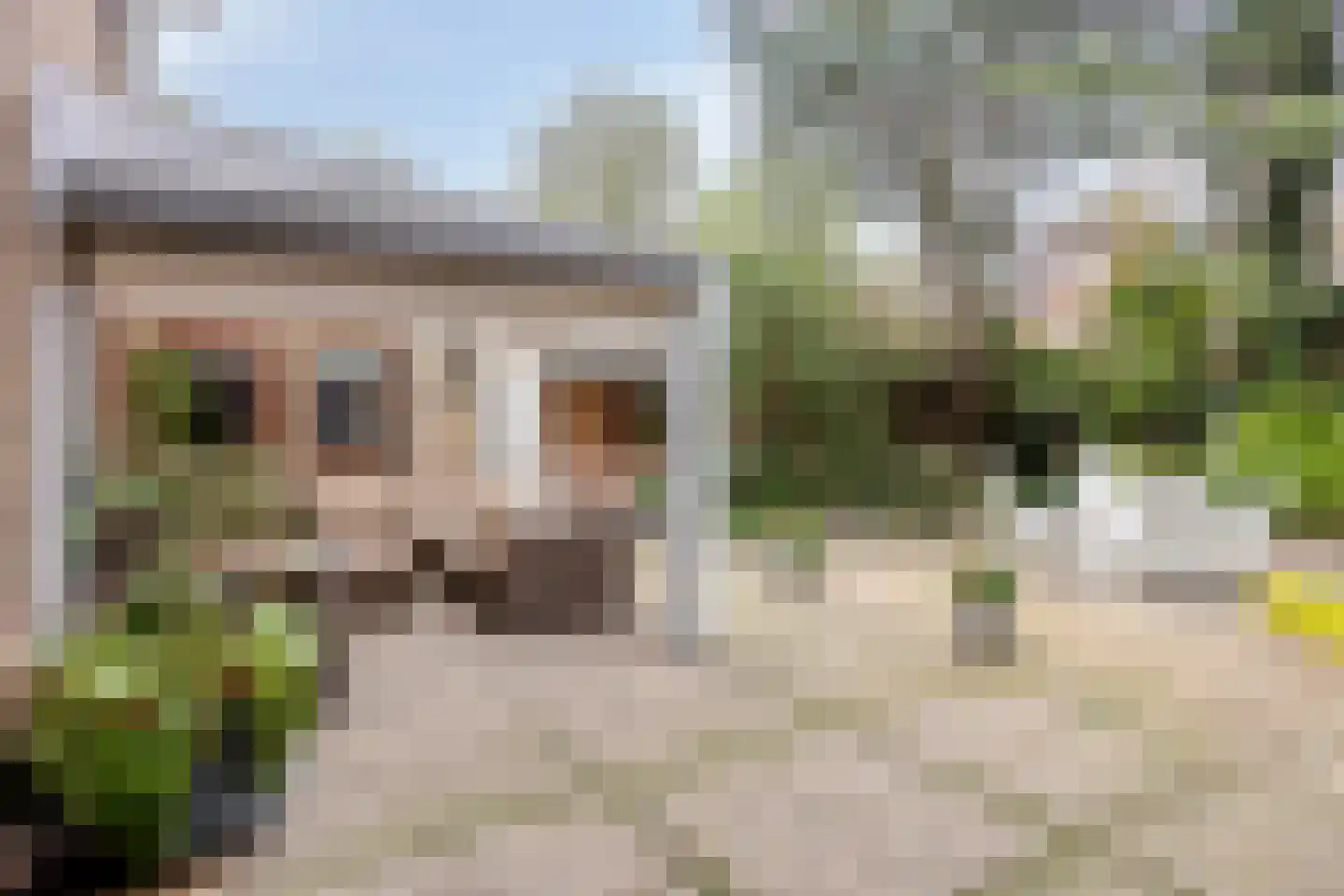 Loekemanstraat 4 's-Hertogenbosch thumbnail 11