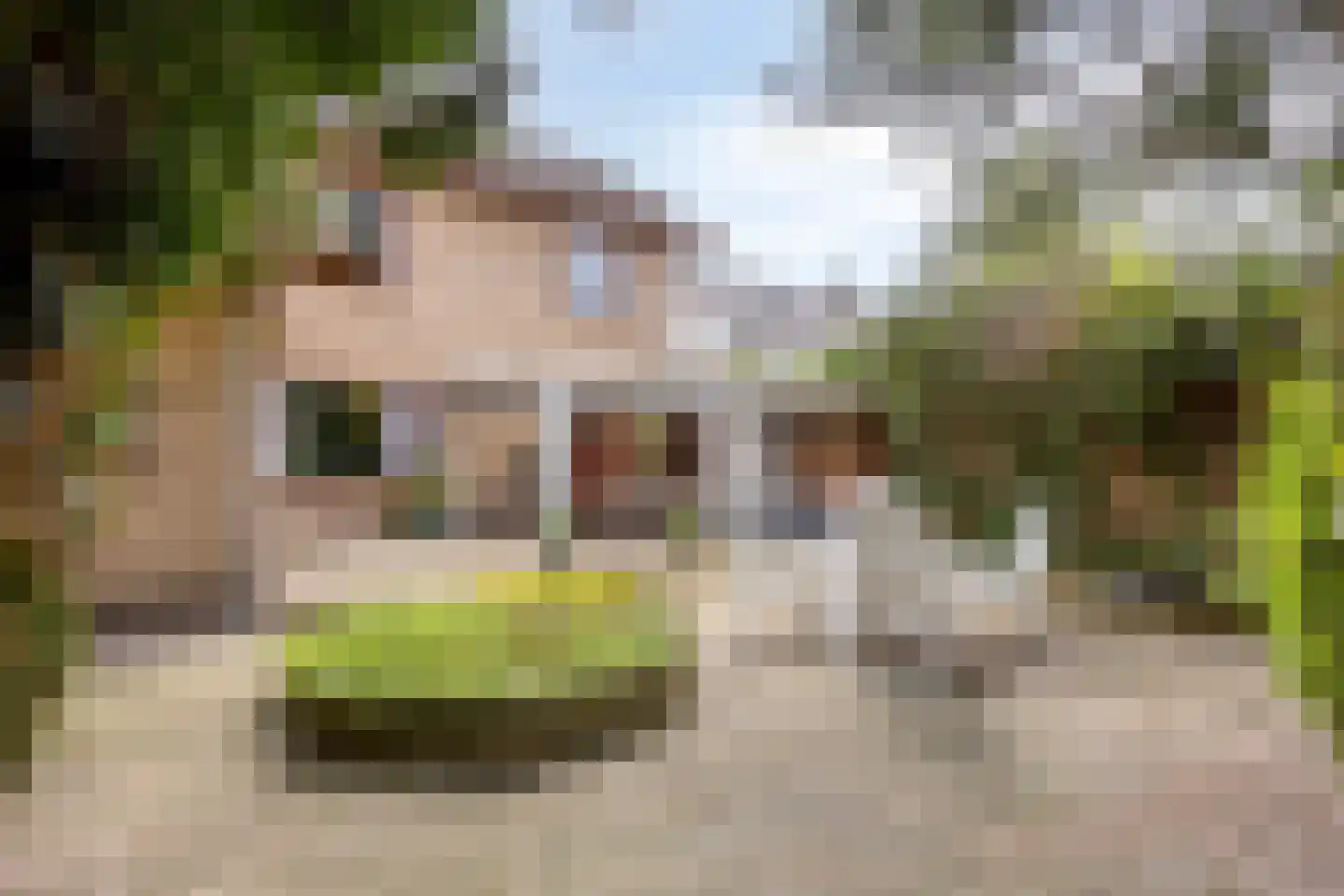 Loekemanstraat 4 's-Hertogenbosch thumbnail 14
