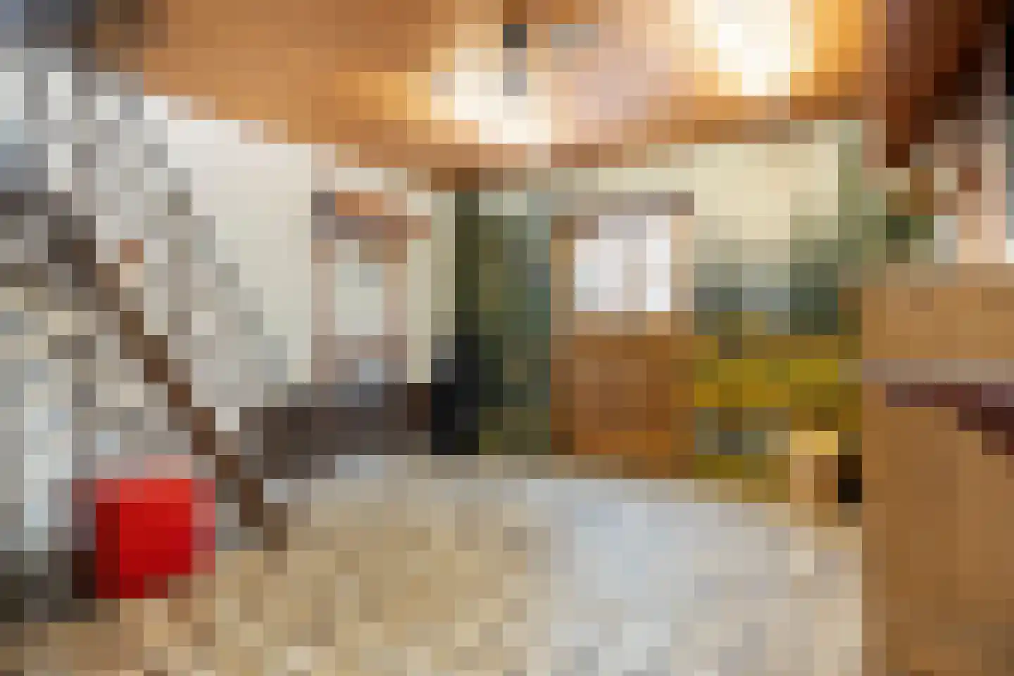 Loekemanstraat 4 's-Hertogenbosch thumbnail 16