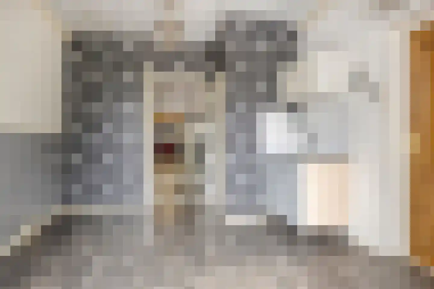 Loekemanstraat 4 's-Hertogenbosch thumbnail 19