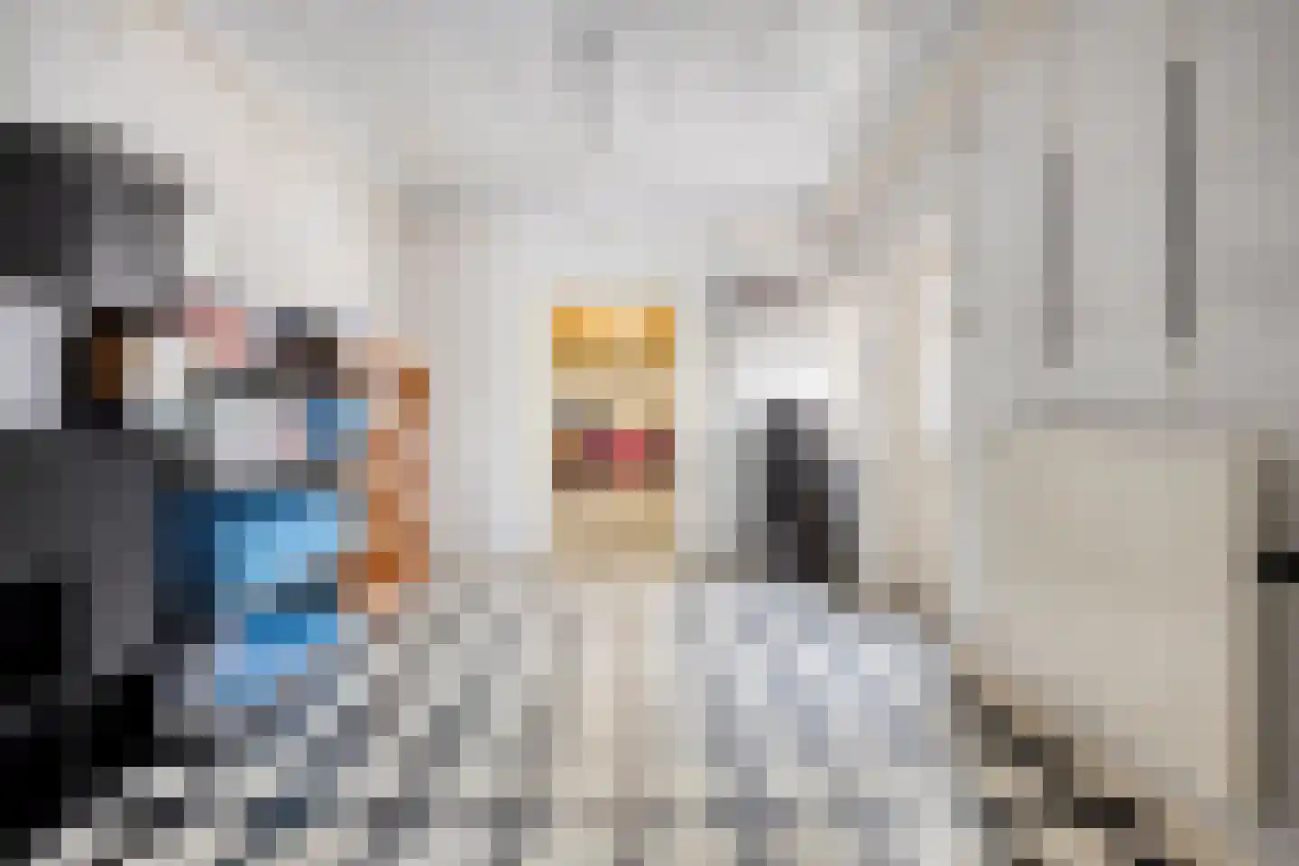 Loekemanstraat 4 's-Hertogenbosch thumbnail 21