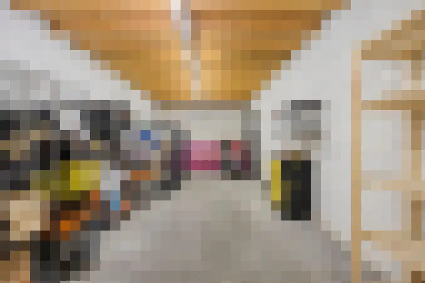 Loekemanstraat 4 's-Hertogenbosch thumbnail 22