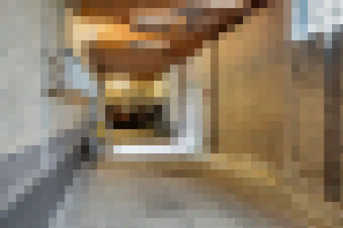 Loekemanstraat 4 's-Hertogenbosch thumbnail 23