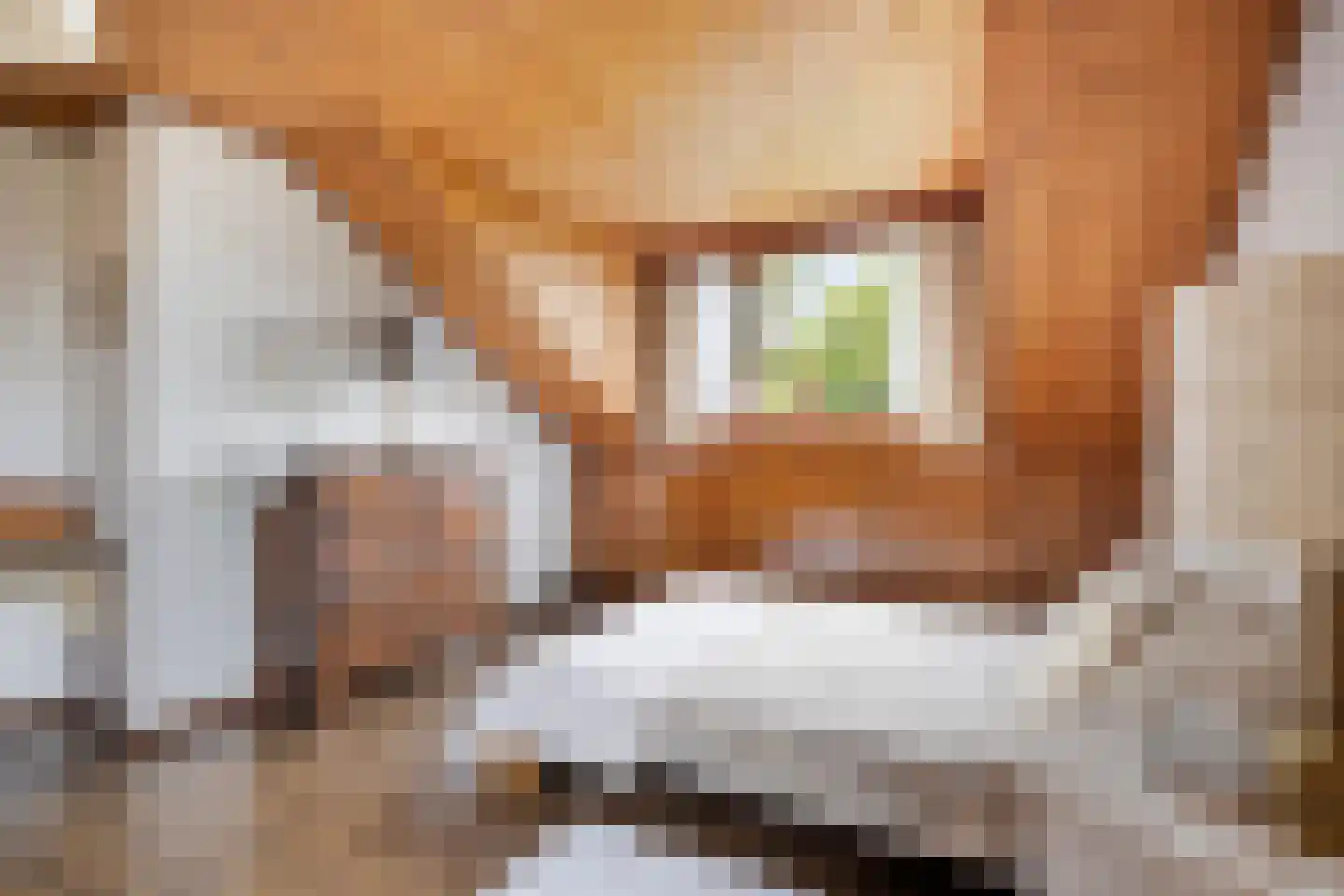 Loekemanstraat 4 's-Hertogenbosch thumbnail 30