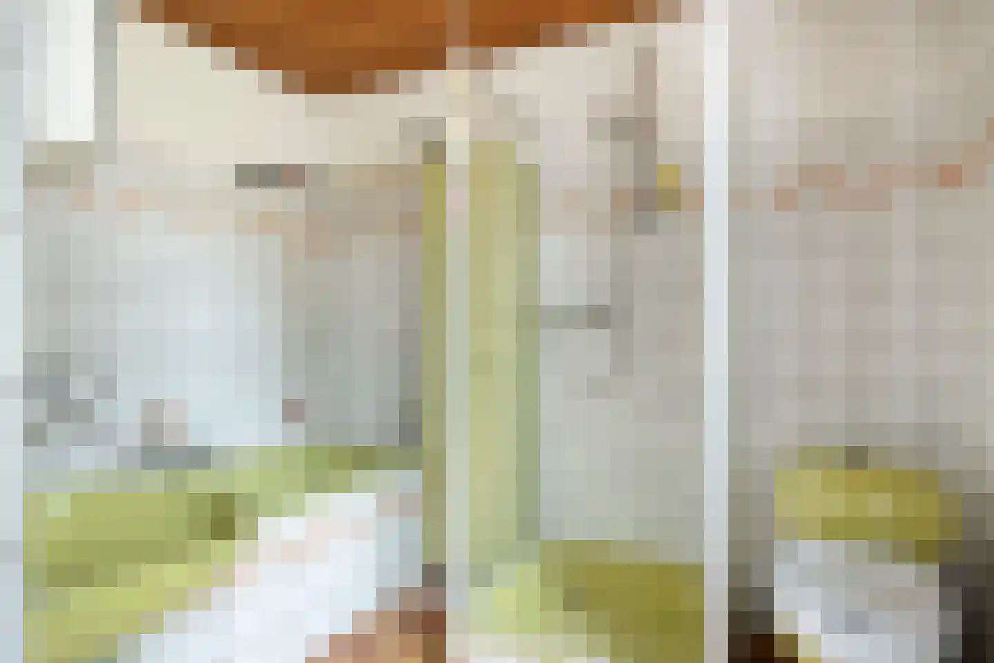 Loekemanstraat 4 's-Hertogenbosch thumbnail 34