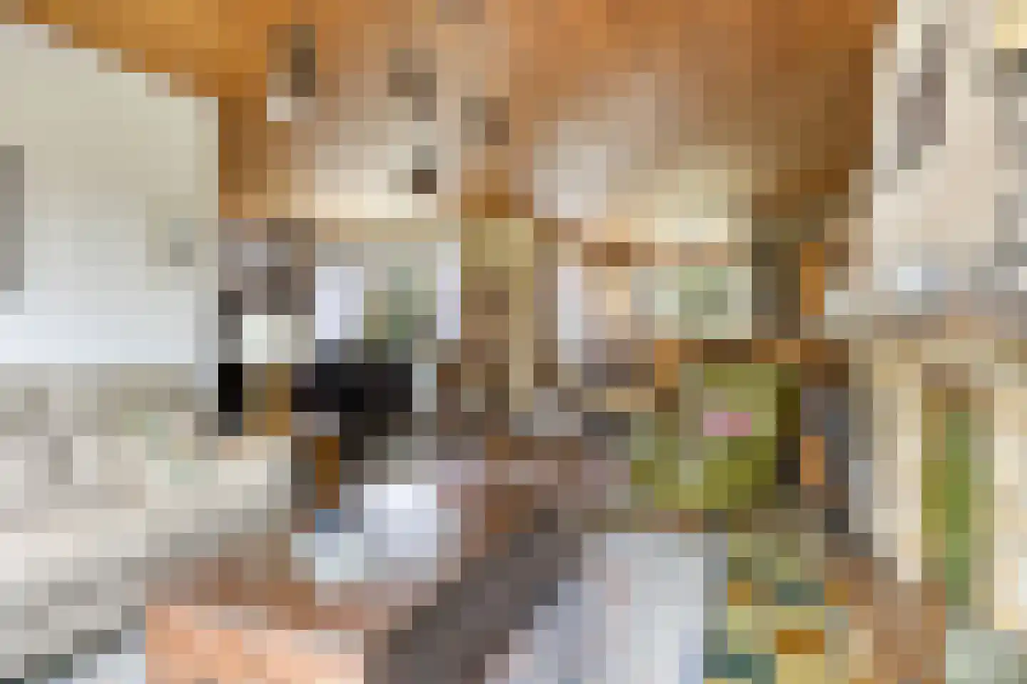 Loekemanstraat 4 's-Hertogenbosch thumbnail 7