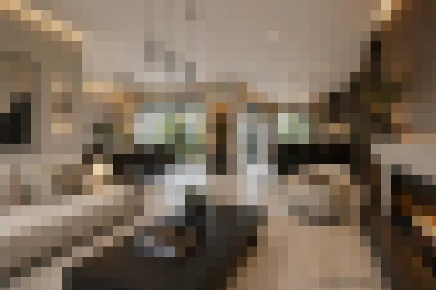 Loekemanstraat 4 's-Hertogenbosch thumbnail 8