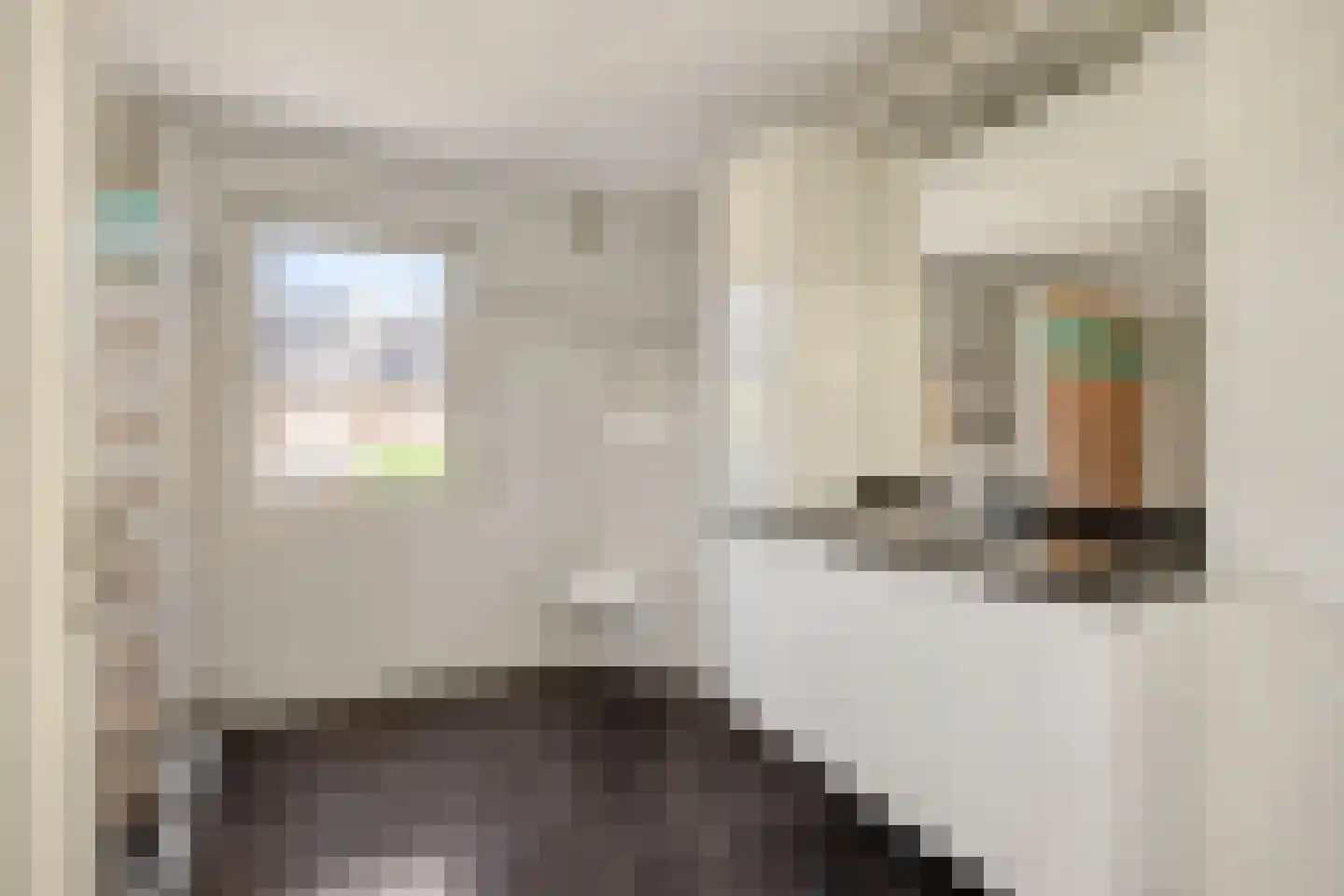 Loekemanstraat 6 's-Hertogenbosch thumbnail 22