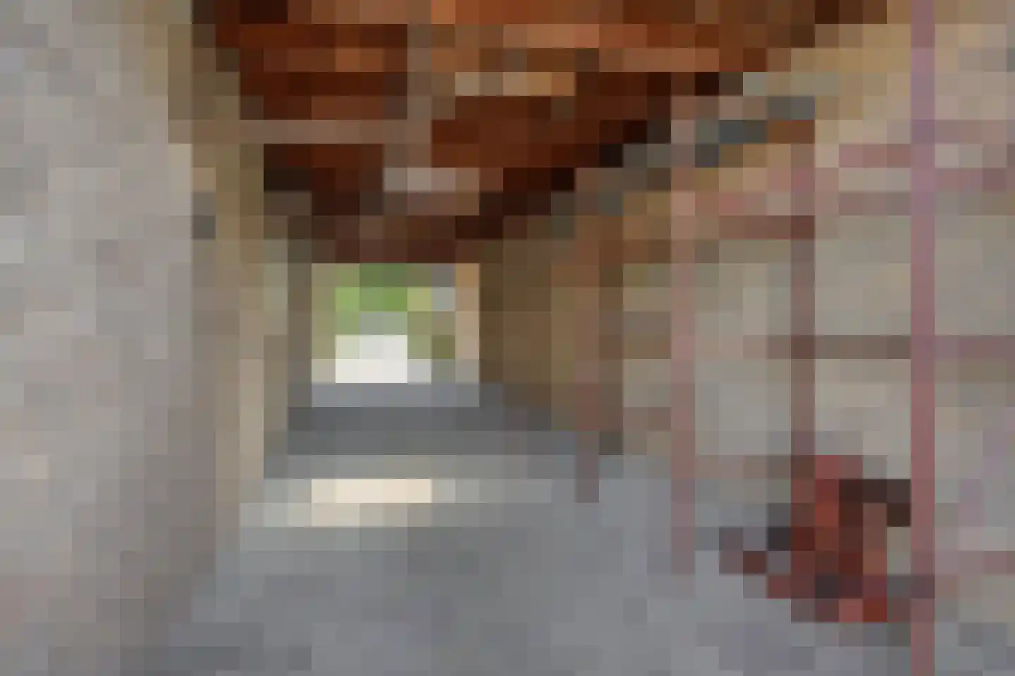 Loekemanstraat 6 's-Hertogenbosch thumbnail 33