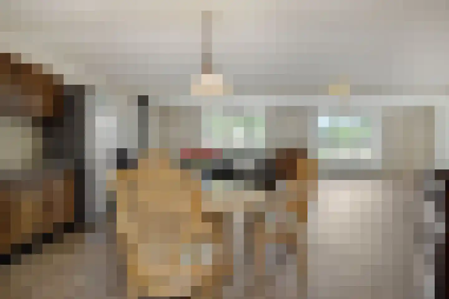 Loekemanstraat 6 's-Hertogenbosch thumbnail 42