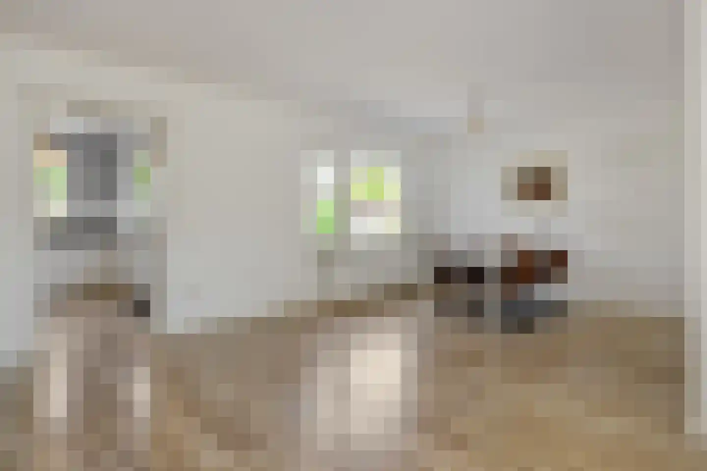 Loekemanstraat 6 's-Hertogenbosch thumbnail 7