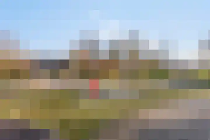 Loena 31 Hoogezand thumbnail 47