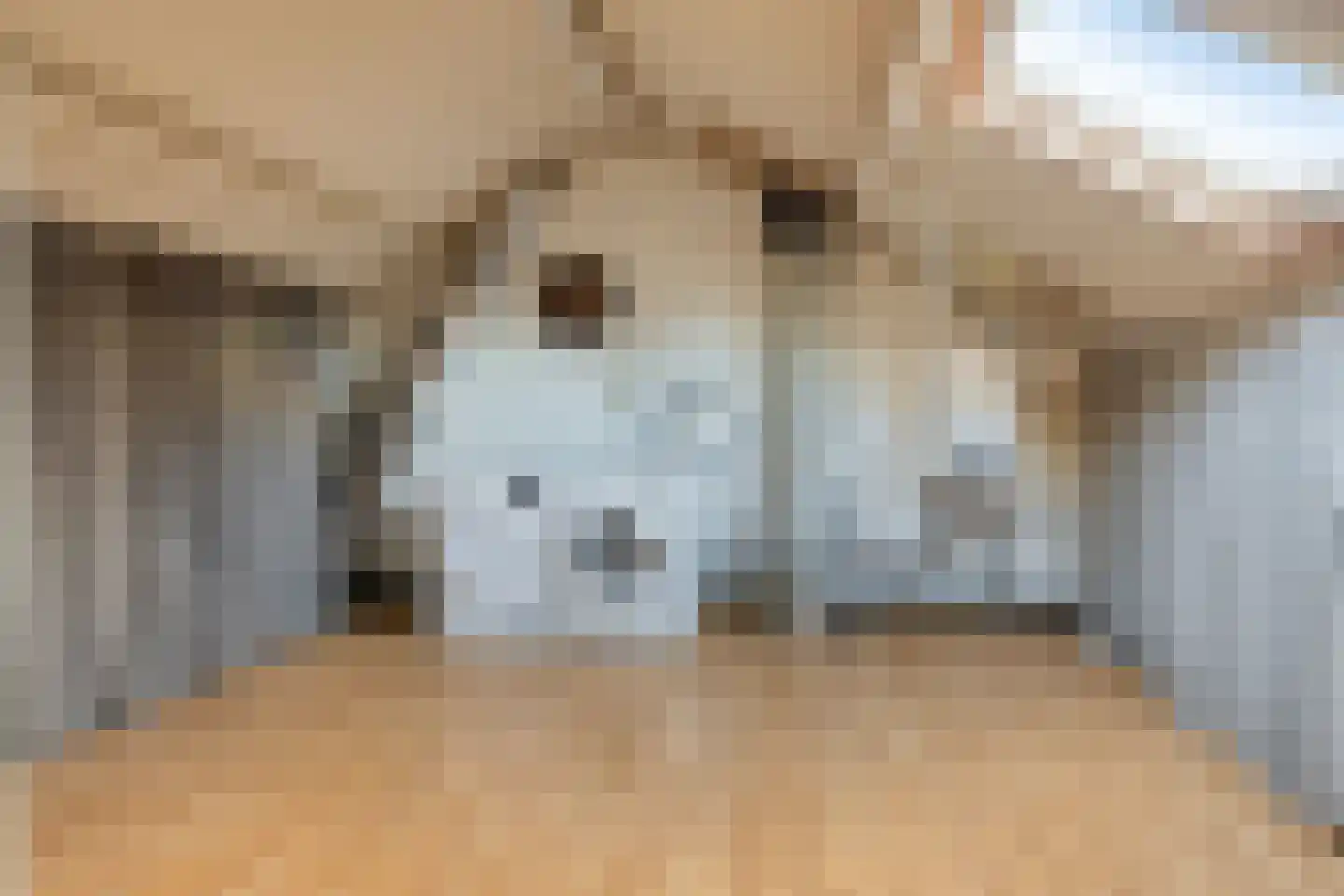 Loenastraat 14 Helmond thumbnail 22