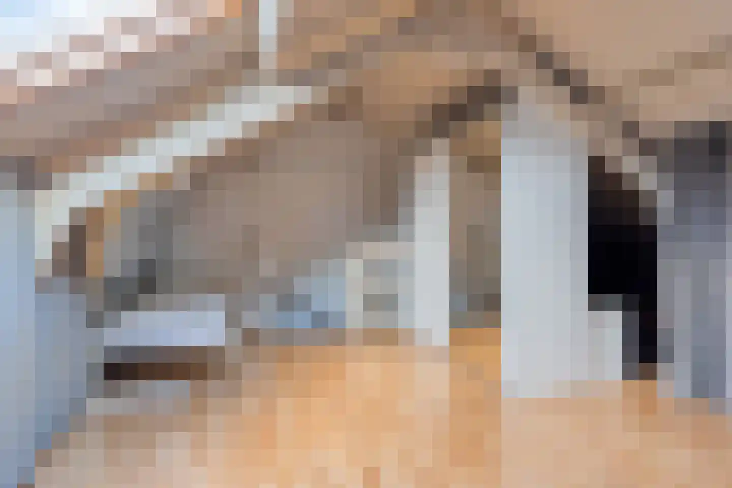 Loenastraat 14 Helmond thumbnail 23