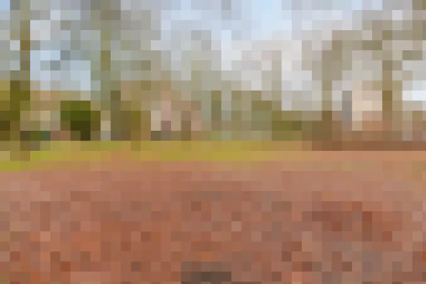 Loenastraat 14 Helmond thumbnail 30