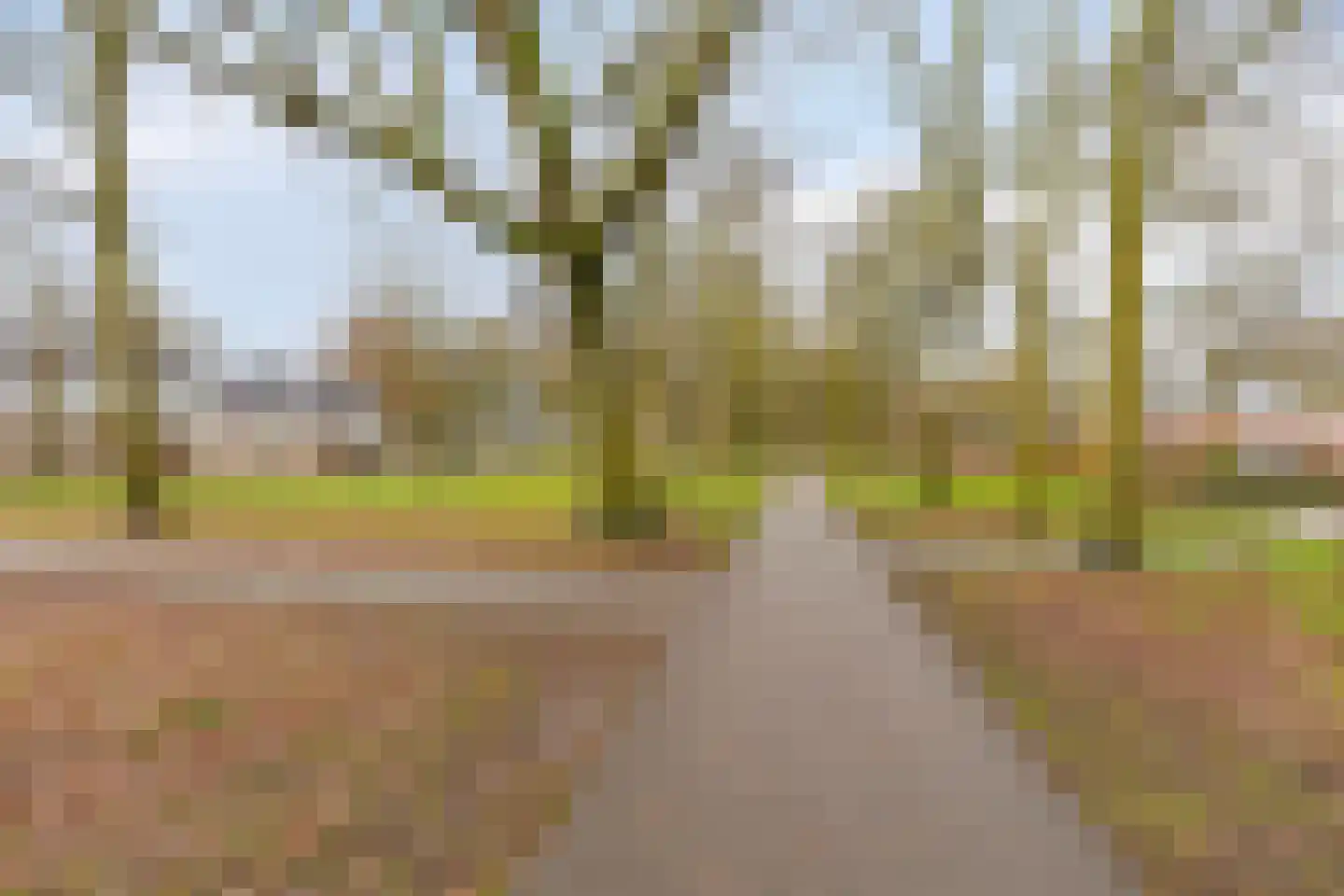 Loenastraat 14 Helmond thumbnail 31