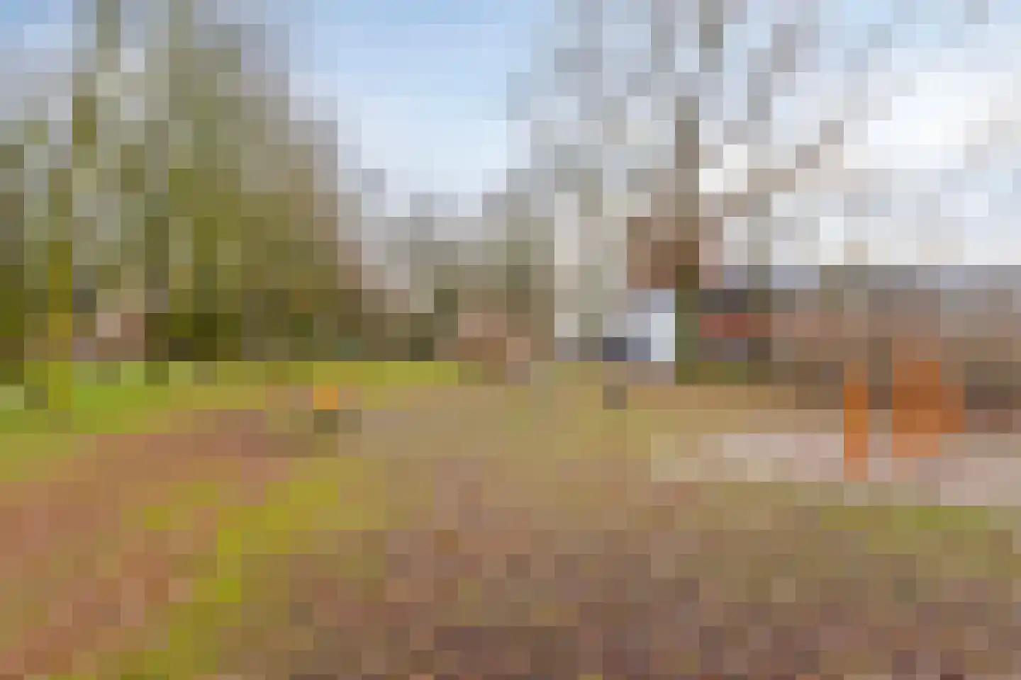 Loenastraat 14 Helmond thumbnail 32